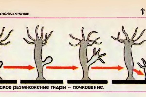 Почему не работает сайт кракен