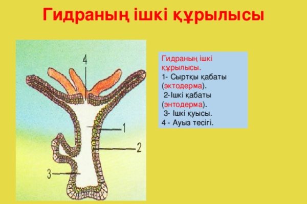 Как вывести деньги с кракена маркетплейс